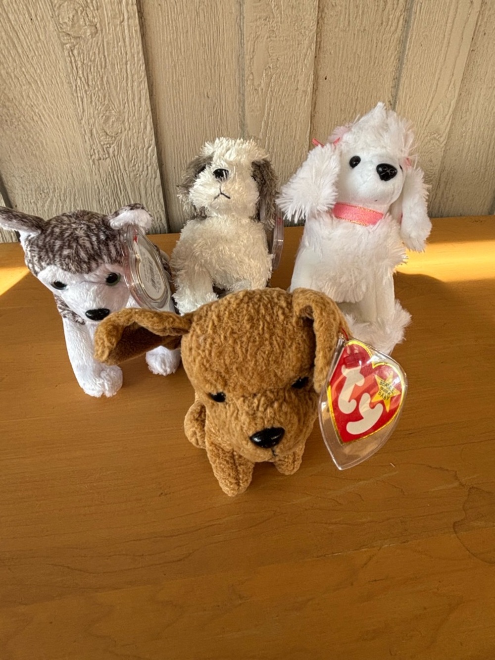 Ty Beanie Babies Plush Dog - Lot of 4